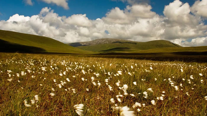 'Ballycroy National Park